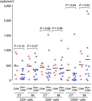 Tertiary lymphoid structures in the primary tumor site of patients with cancer-associated myositis: A case–control study